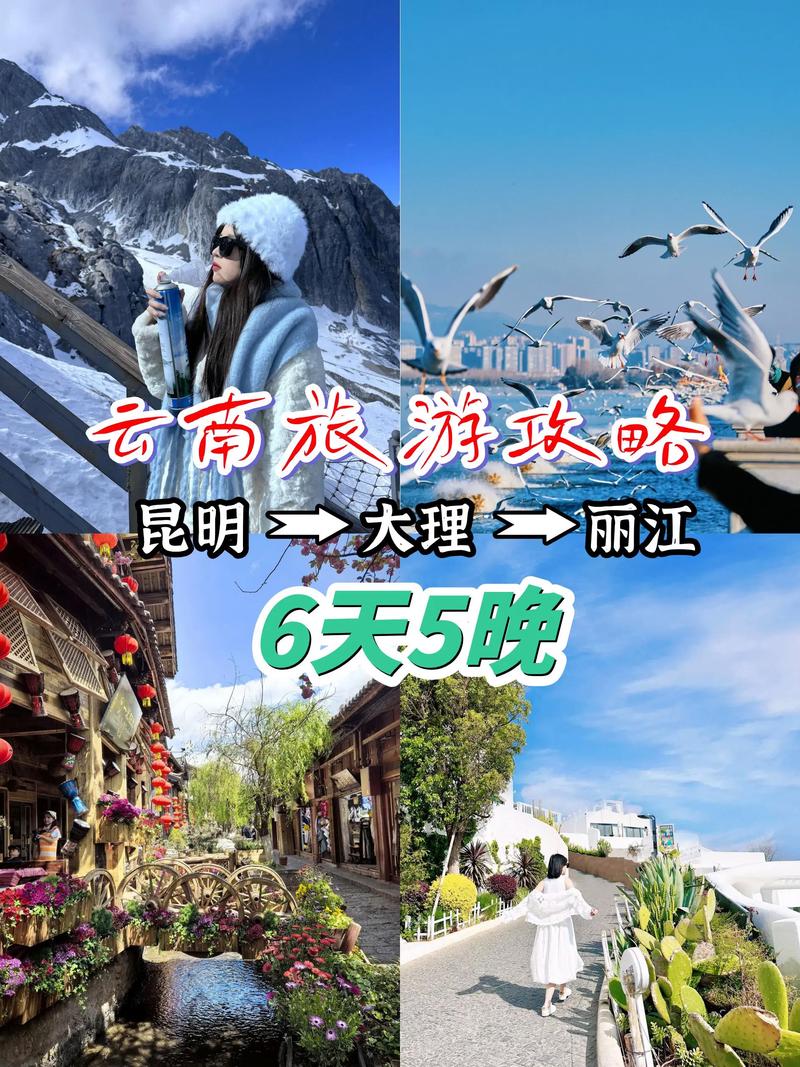 丽江旅行社最新发展趋势